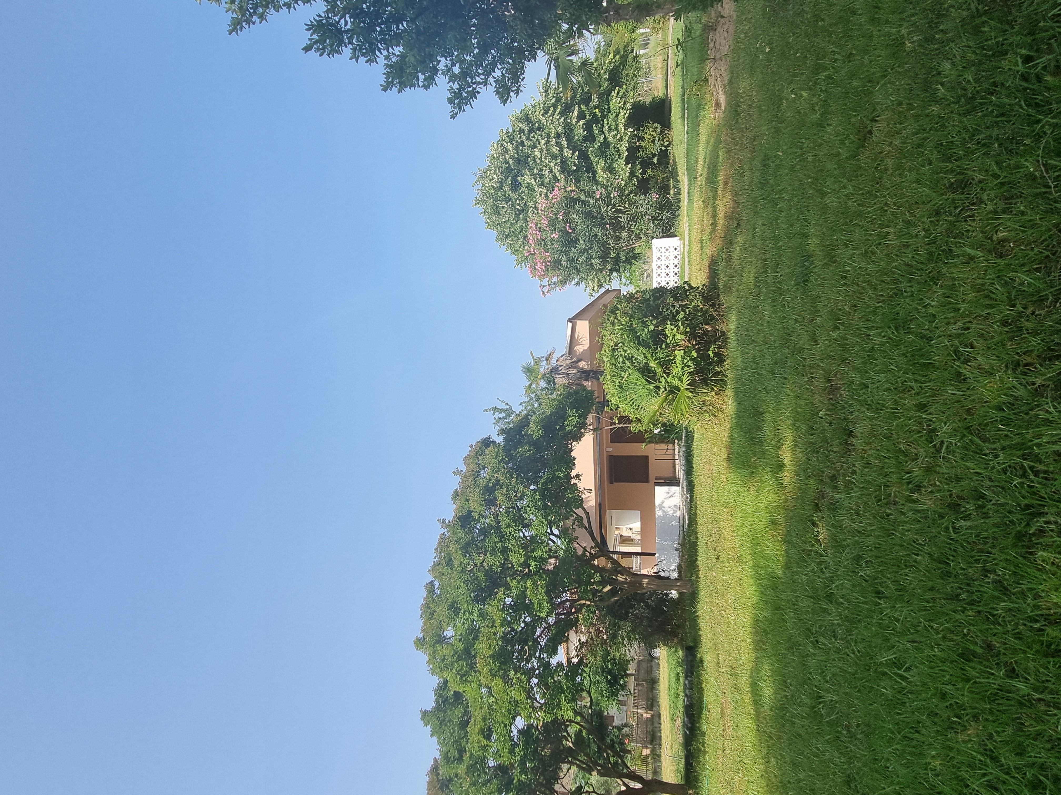 Apartment with Garden View photo 8 at Garden Haven 100m from the Sea in Siviri