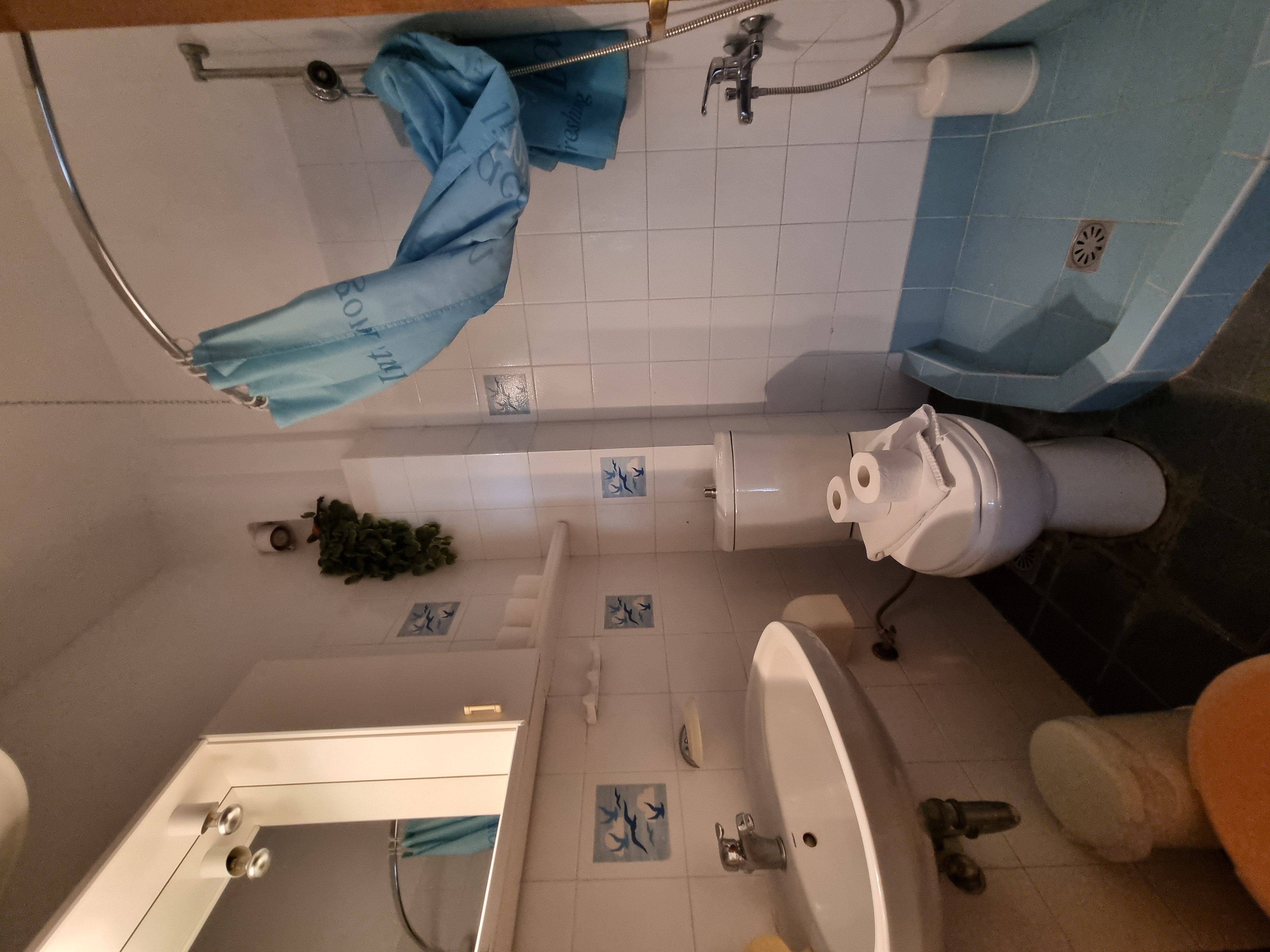 Polychrono Duplex private bathroom with shower